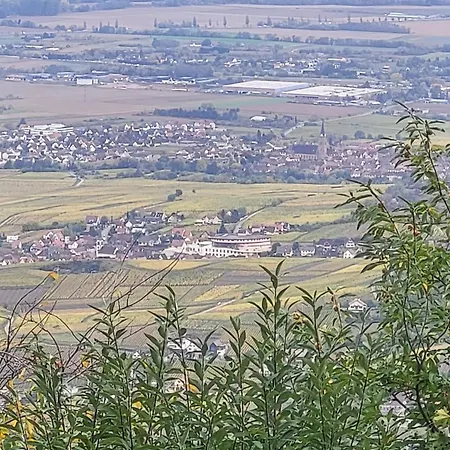 Holiday home Sur La Route Du Vin Rorschwihr